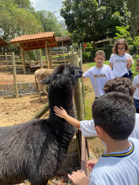Bicho Mania 2022